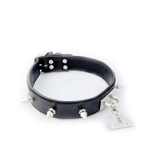 Leather Spiked Rock n' Roll Collar