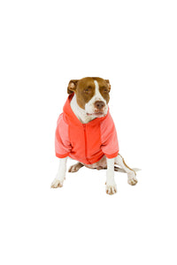 Perfect Zip Raglan Hoodie