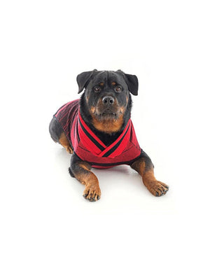 Cashmere Bomber Sweater