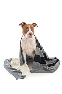 Cashmere Colorblock Blanket