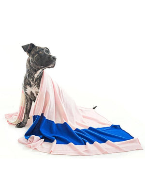 Cashmere Colorblock Blanket