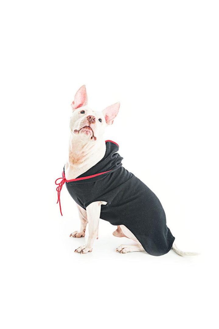 Cashmere Hoodie Sweater