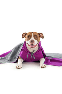 Cashmere Paw Clawset Logo Blanket