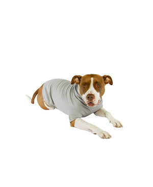 Perfect Waffle Thermal Tee