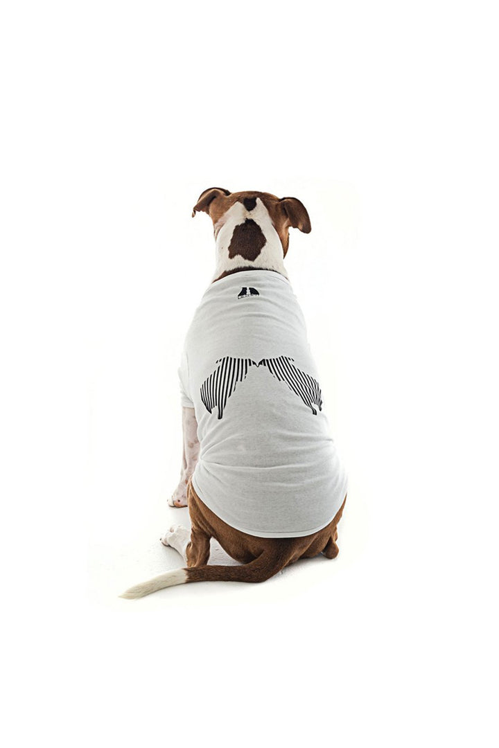 Paw Clawset Logo Tee