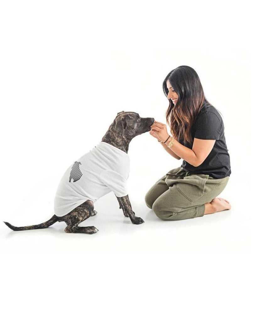 Paw Clawset Logo Tee