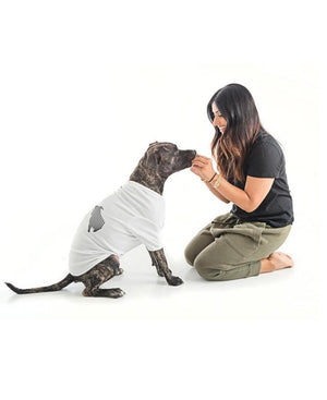 Paw Clawset Logo Tee