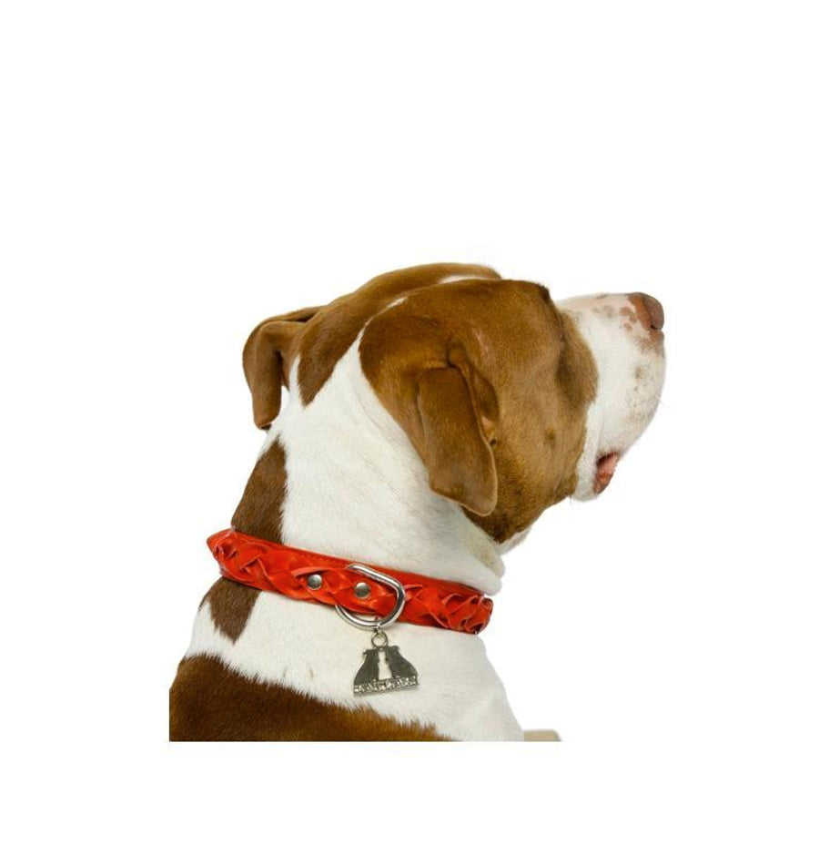 Braided Leather Collar