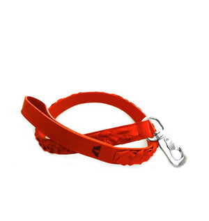 Braided Leather Leash