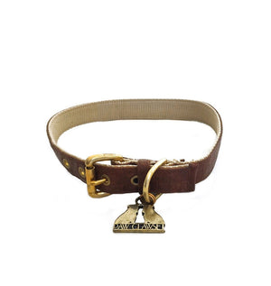 Webb Leather Collar