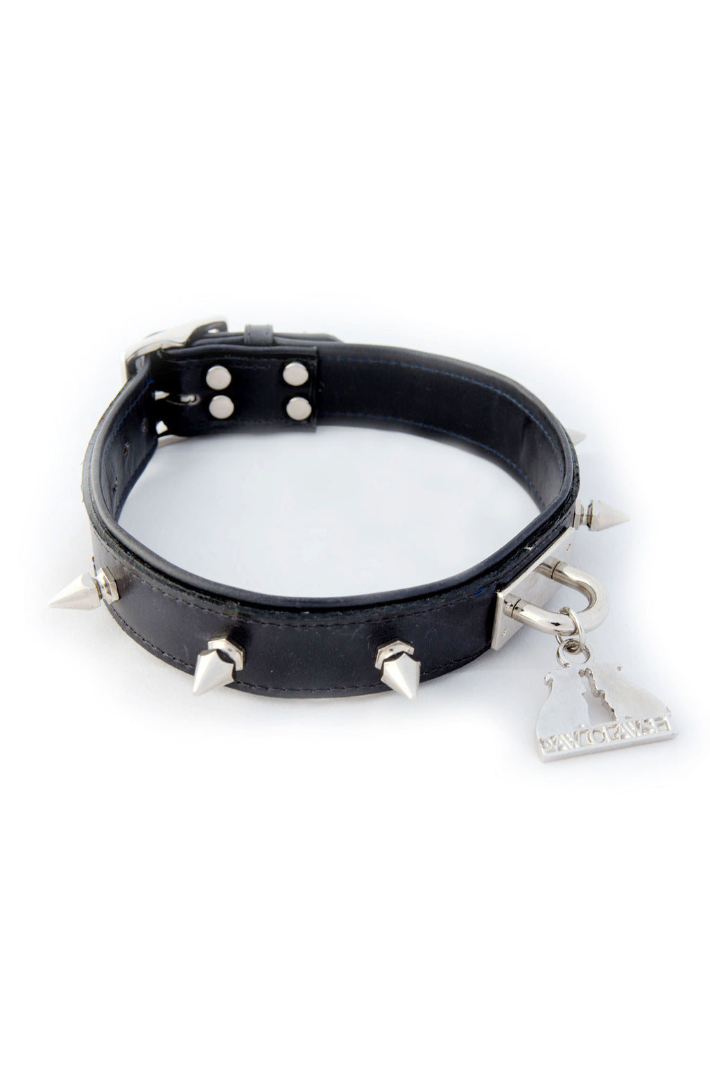 Leather Spiked Rock n' Roll Collar